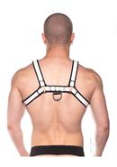 Prowler Red Bull Harness - Large - Black/white